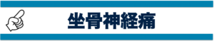 坐骨神経